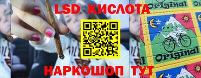 гашик Можга