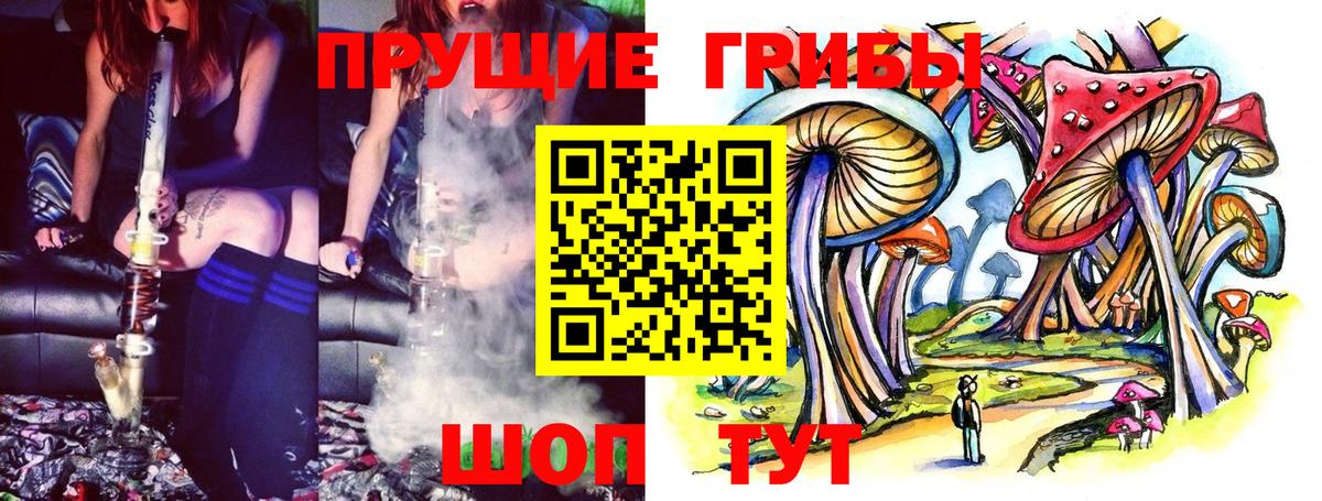 Галлюциногенные грибы MAGIC MUSHROOMS  Вход с VPN  Елизово  Галлюциногенные грибы прущие грибы 
