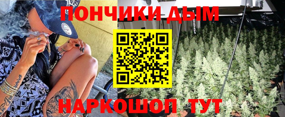Шишки марихуана сатива Елизово